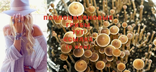 mdpv Семёнов