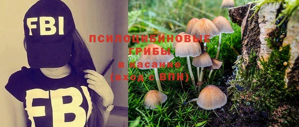 спайс Сатка