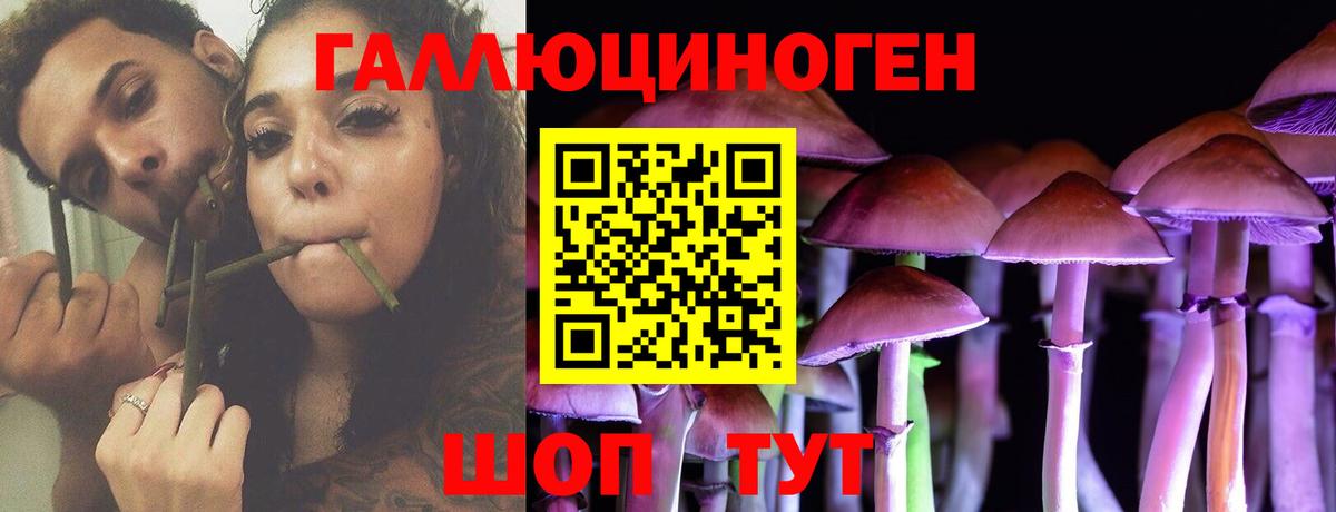 Псилоцибиновые грибы GOLDEN TEACHER Балабаново