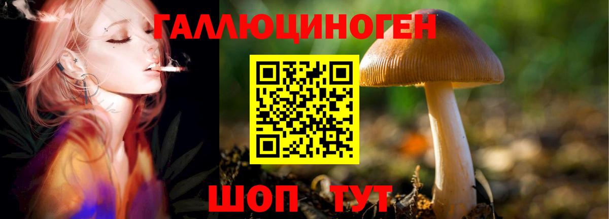Галлюциногенные грибы Cubensis Балабаново