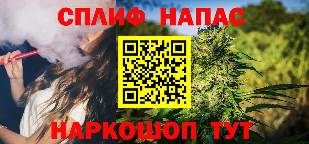 Конопля OG Kush Балабаново